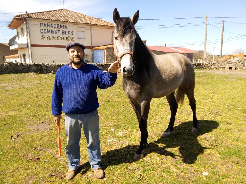 Pension El Abuelo Carbellino Luaran gambar